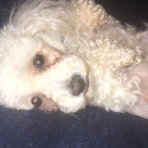 Meet your Posher, Julie